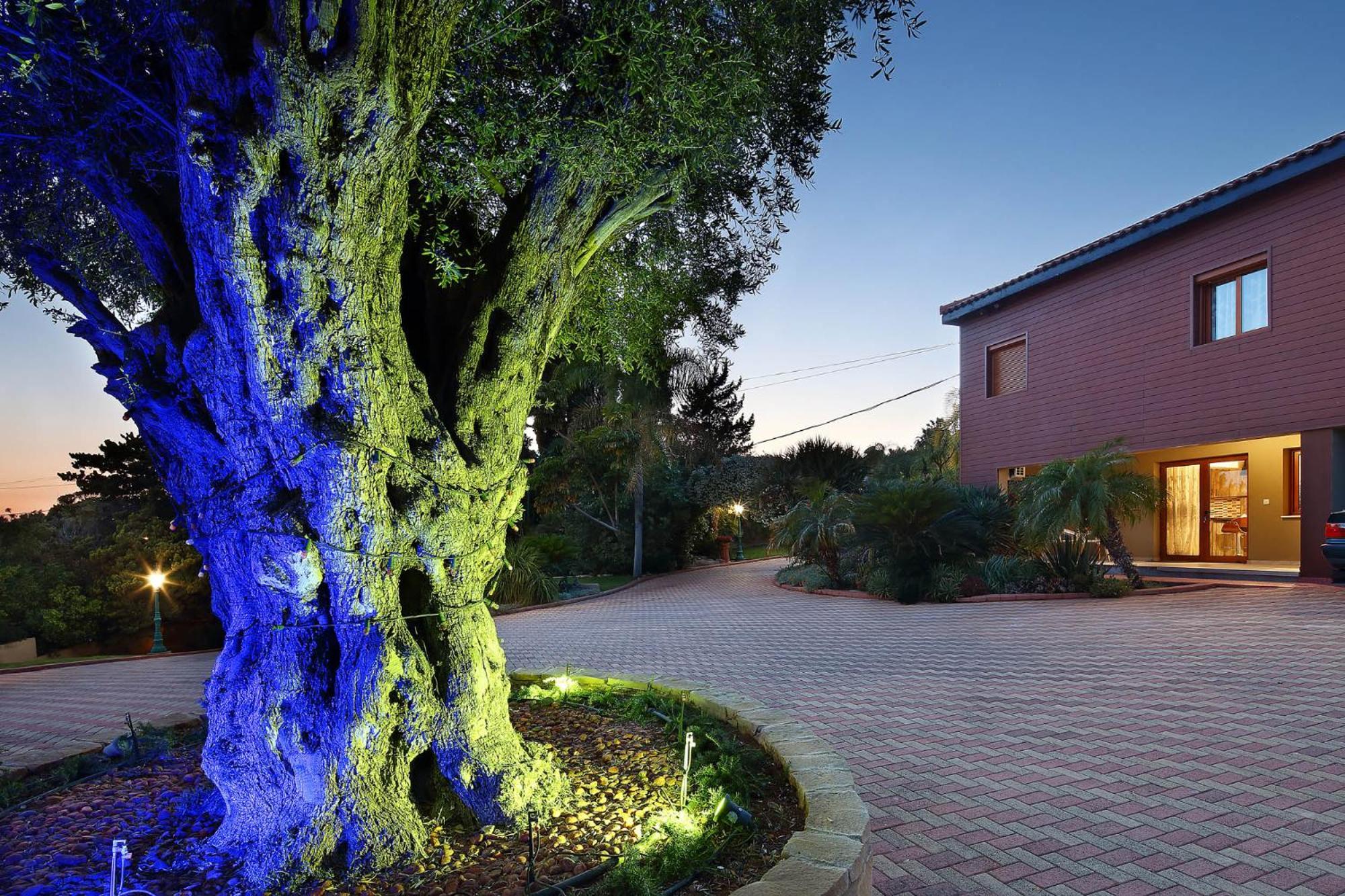 Olive Tree Apartments Limassol Luaran gambar